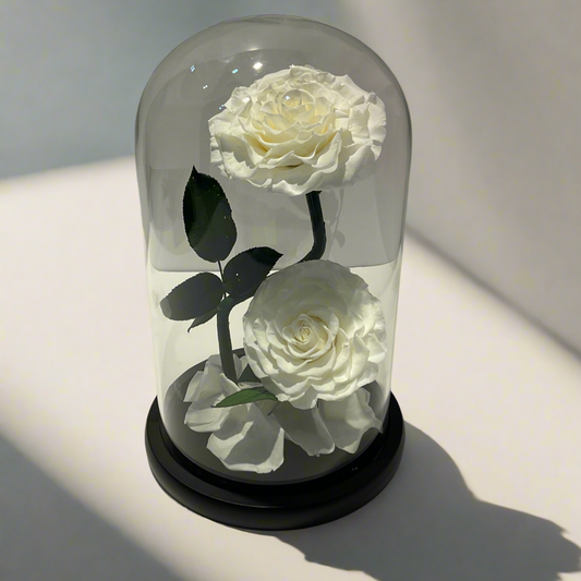 Forever Rose (Double)