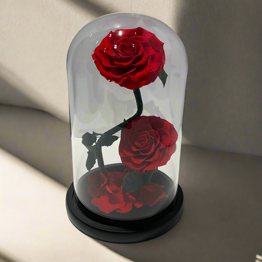 Red roses inside a glass dome on a neutral background