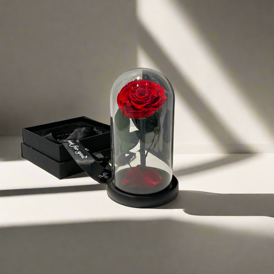 Forever Rose (Single)