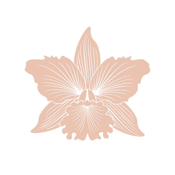 Exotica Flowers